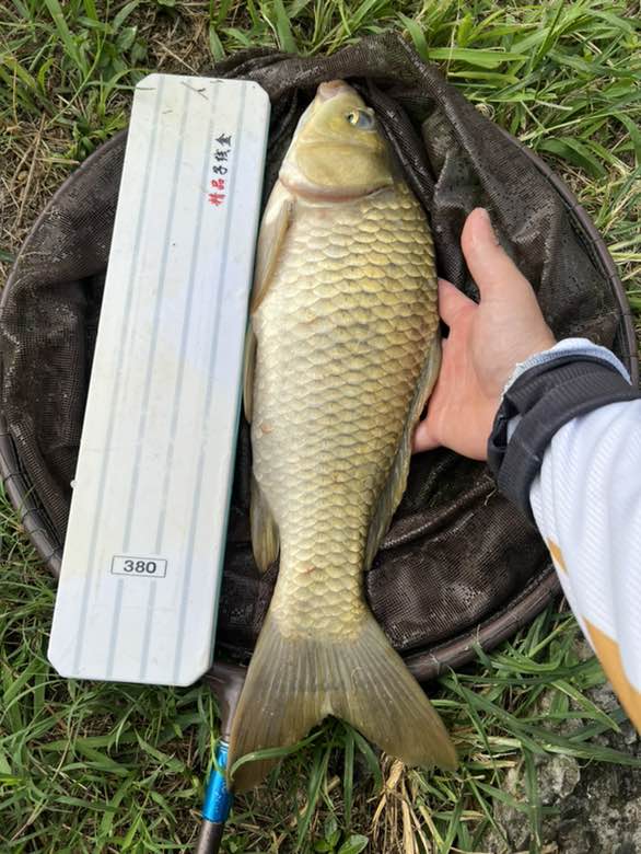 家人们，请教一个问题！