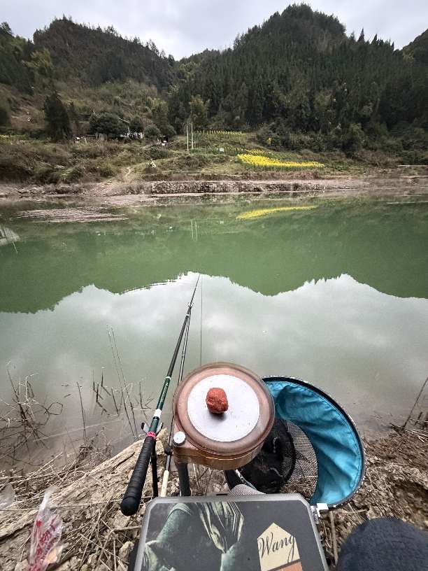 重庆资源这么差的地方，钓爽了。