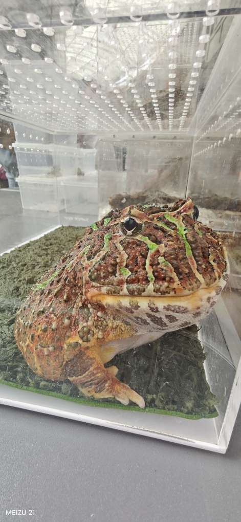 恍然大悟